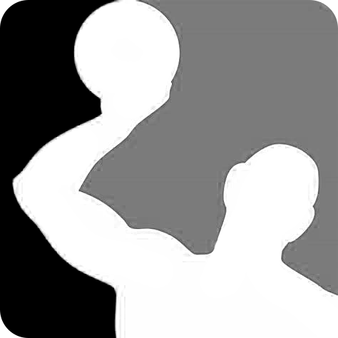 Österreichische Wasserballliga Logo